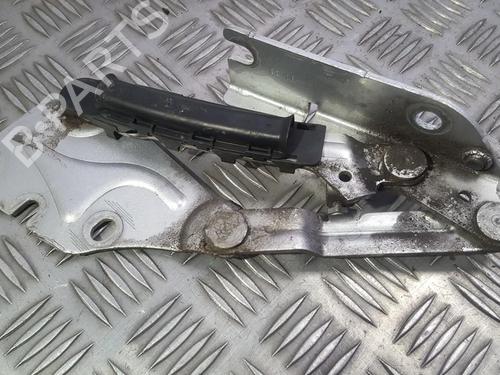 hingedoor-check-strap-vw-golf-plus-v-5m1-521-2004-2005-2006-2007-2008-2009-2010-2011-2012-2013-35677158 main image