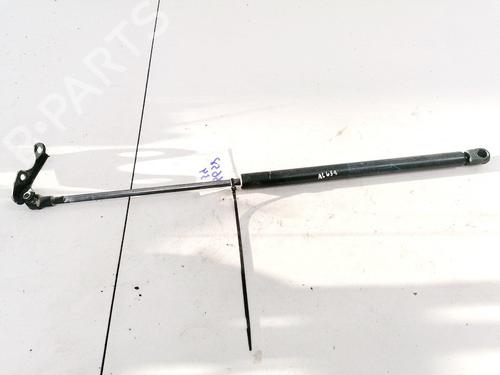 tailgate-lift-support-toyota-yaris-_p1_-1999-2000-2001-2002-2003-2004-2005-35564339 main image
