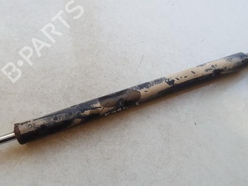 tailgate-lift-support-renault-laguna-ii-bg01_-2001-2002-2003-2004-2005-2006-2007-35855115 main image