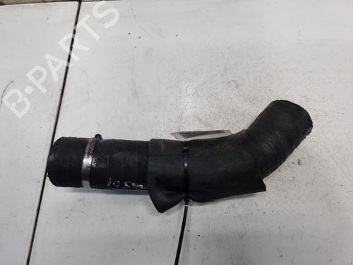 Pipe BMW 3 Touring (E46) 320 d | BP32568830M125
