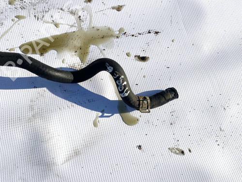 Pipe NISSAN PRIMERA Hatchback (P12) 2.2 Di | BP32602413M125