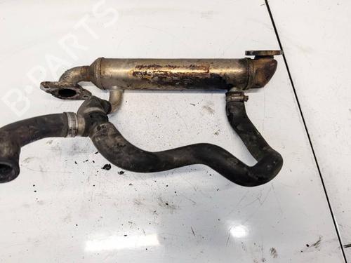 Used Egr Egr 38183679 38183679