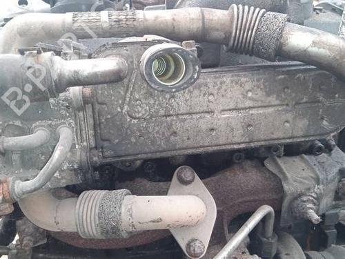 Used Egr Egr 35304857 35304857