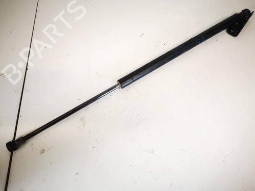 tailgate-lift-support-toyota-corolla-verso-_e12_-2001-2002-2003-2004-2005-2006-2007-35217690 main image