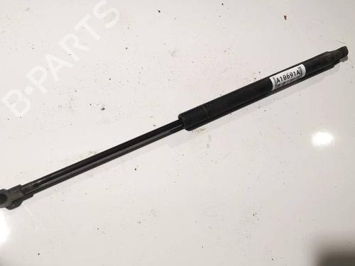 tailgate-lift-support-toyota-yaris-_p9_-2005-2006-2007-2008-2009-2010-2011-2012-2013-2014-34913333 main image