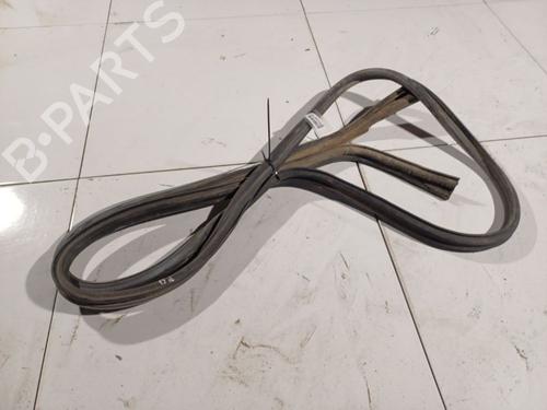 Gummiliste Gummiliste FIAT DUCATO Van (230_) 2.8 D (87 hp) 34965972 34965972