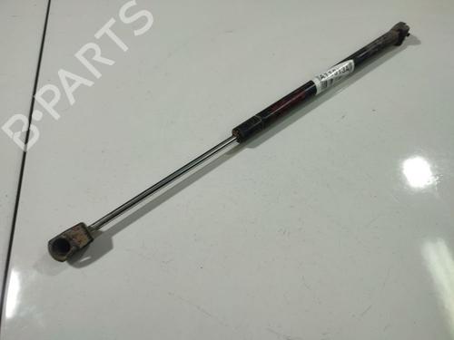 tailgate-lift-support-nissan-pathfinder-iii-r51-2005-34857999 main image