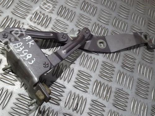 hingedoor-check-strap-renault-scenic-ii-jm01_-2003-2004-2005-2006-2007-2008-2009-2010-35693923 main image