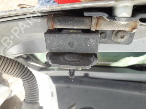 hingedoor-check-strap-renault-laguna-ii-bg01_-2001-2002-2003-2004-2005-2006-2007-35602412 main image