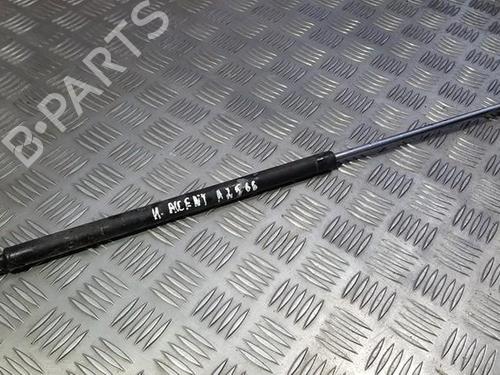 tailgate-lift-support-hyundai-accent-ii-lc-1999-2000-2001-2002-2003-2004-2005-2006-2007-2008-2009-2010-2011-2012-35674654 main image