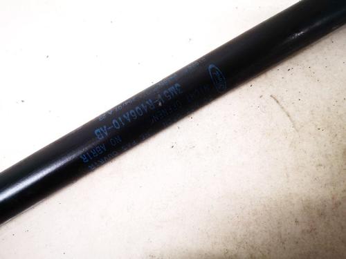 Tailgate lift support FORD C-MAX (DM2) 1.8 TDCi | BP35567774C138 - Image 3