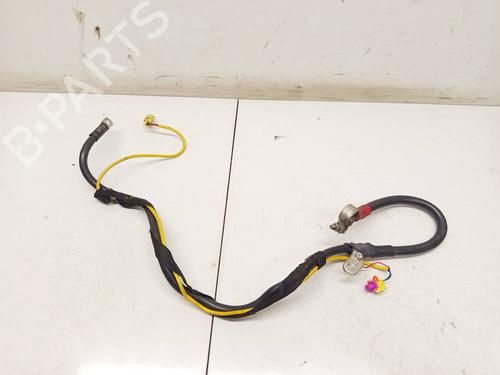 Used Cable Cable AUDI A6 C6 (4F2) 2.7 TDI (180 hp) 34842963 34842963
