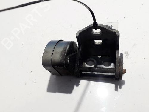 hingedoor-check-strap-renault-scenic-ii-jm01_-2003-2004-2005-2006-2007-2008-2009-2010-33529171 main image