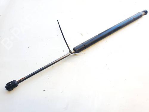 tailgate-lift-support-renault-scenic-ii-jm01_-2003-2004-2005-2006-2007-2008-2009-2010-35335502 main image