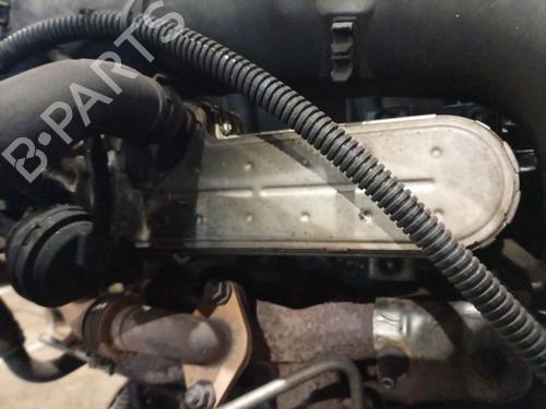 Egr AUDI A3 (8P1) 2.0 TDI 16V | BP40275977M69 - Image 4
