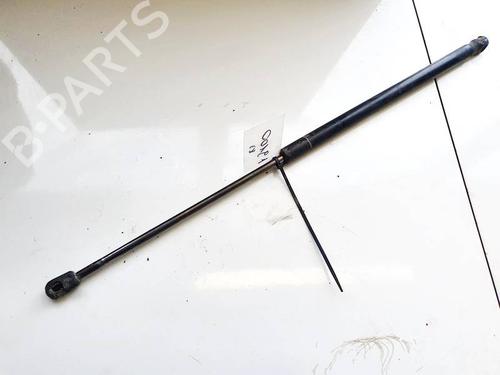 tailgate-lift-support-ford-focus-c-max-dm2-2003-2004-2005-2006-2007-35295898 main image