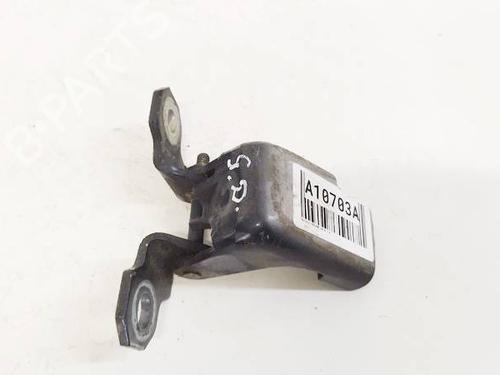 hingedoor-check-strap-renault-megane-iii-hatchback-bz01_-b3_-2008-32556826 main image