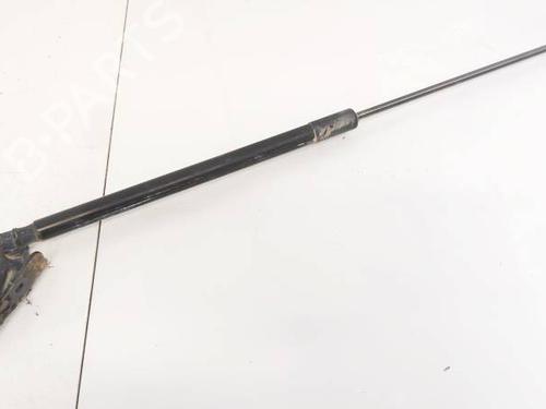 tailgate-lift-support-ford-focus-iii-2010-2011-2012-2013-2014-2015-2016-2017-2018-2019-2020-35219408 main image
