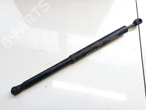 tailgate-lift-support-citroen-c2-jm_-2003-2004-2005-2006-2007-2008-2009-2010-2011-2012-2013-2014-2015-2016-2017-34918942 main image