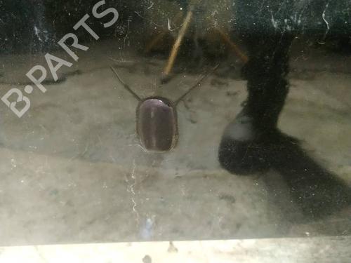 Washer pump MINI MINI (R50, R53) One D | BP34875698E24 - Image 2