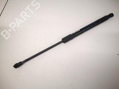 tailgate-lift-support-renault-twingo-ii-cn0_-2007-35484077 main image