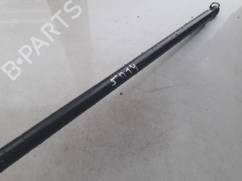 tailgate-lift-support-honda-cr-v-iii-re_-2006-35854901 main image