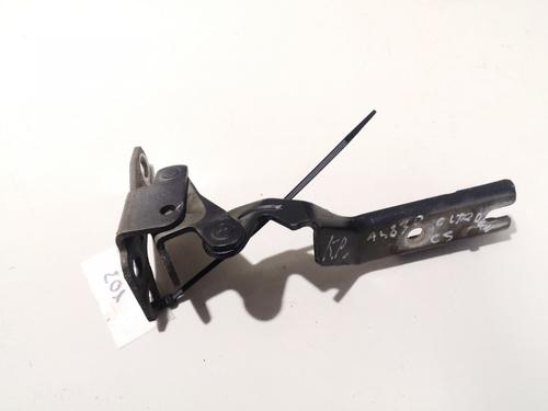 hingedoor-check-strap-citroen-c5-i-dc_-2001-2002-2003-2004-2005-35884047 main image
