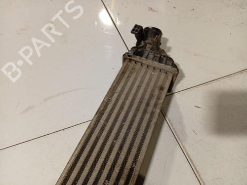 Intercooler FIAT FREEMONT (345_) 2.0 JTD 4x4 | BP38576638M30 - Image 3