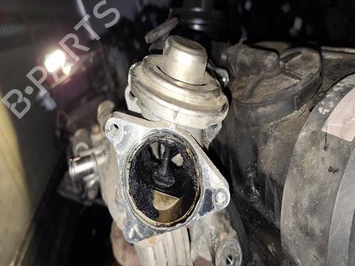 Used Egr Egr VW PASSAT B6 (3C2) 1.9 TDI (105 hp) 34789326 34789326
