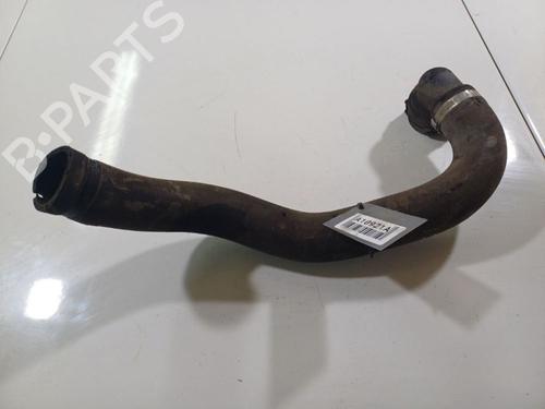 Pipe FIAT DOBLO Cargo (263_) 2.0 D Multijet | BP32546787M125