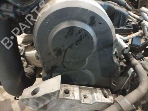 Used Timing cover Timing cover VW PASSAT B6 (3C2) 1.9 TDI (105 hp) 36585862 36585862