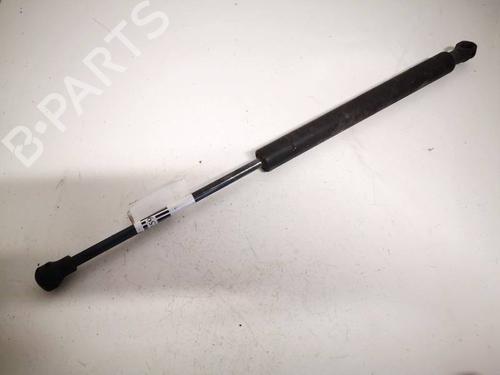 gassdemper-bakluke-renault-espace-iv-jk01_-2002-35163314 main image