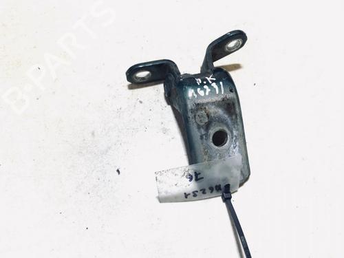 hingedoor-check-strap-toyota-yaris-verso-_p2_-1999-2000-2001-2002-2003-2004-2005-33071949 main image