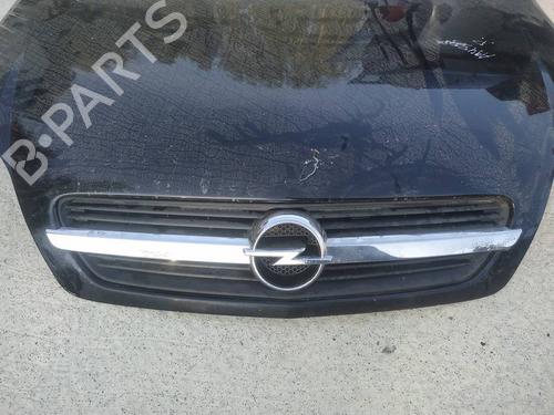 Used Grille Grille 35234056 35234056