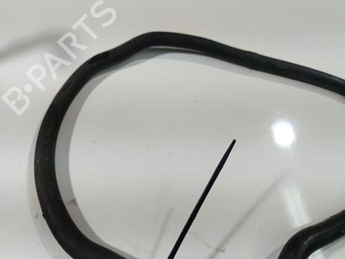 Pipe FORD FOCUS C-MAX (DM2) 1.6 TDCi | BP32543011M125