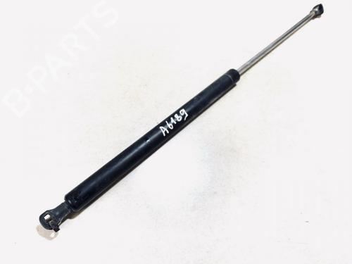 tailgate-lift-support-renault-laguna-ii-bg01_-2001-2002-2003-2004-2005-2006-2007-35613650 main image