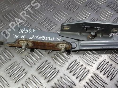 Used Hinge/Door check strap Hinge/Door check strap RENAULT MEGANE I (BA0/1_) 1.6 e (BA0F, BA0S) (90 hp) 35673731 35673731