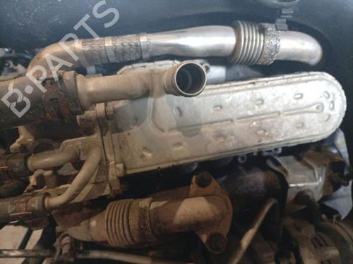 Used Egr Egr 38040723 38040723