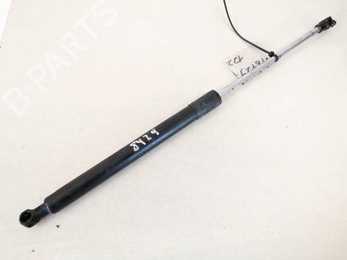 tailgate-lift-support-renault-clio-iii-br01-cr01-2005-2006-2007-2008-2009-2010-2011-2012-2013-2014-35387485 main image
