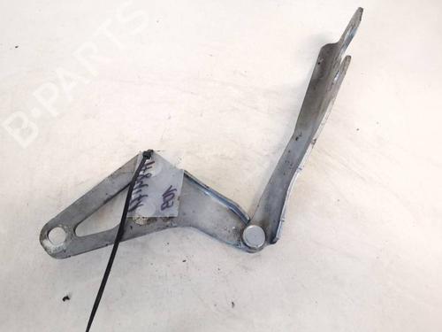 hingedoor-check-strap-opel-vectra-c-z02-2002-2003-2004-2005-2006-2007-2008-2009-35388105 main image