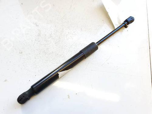 Tailgate lift support TESLA MODEL 3 (5YJ3) EV AWD | BP39643596C138 - Image 2