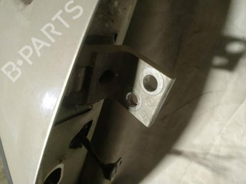 hingedoor-check-strap-peugeot-807-eb_-2002-32962595 main image