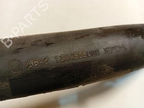 Pipe FIAT DUCATO Van (250_) 120 Multijet 2,2 D | BP36794468M125 - Image 4