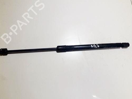 tailgate-lift-support-hyundai-i10-i-pa-2007-2008-2009-2010-2011-2012-2013-2014-2015-2016-2017-2018-35872071 main image