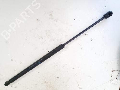 tailgate-lift-support-renault-scenic-ii-jm01_-2003-2004-2005-2006-2007-2008-2009-2010-35484448 main image