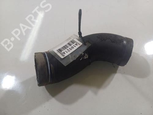 Pipe FIAT DOBLO Cargo (263_) 2.0 D Multijet | BP32546717M125