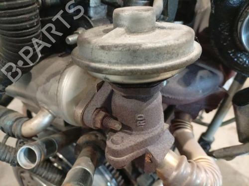Used Egr Egr 36585852 36585852