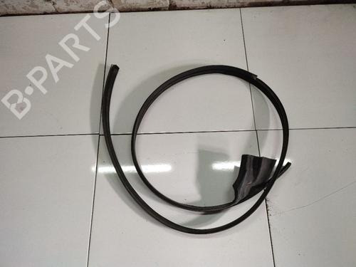 Gummiliste Gummiliste FIAT DOBLO MPV (119_, 223_) 1.9 JTD (105 hp) 34977896 34977896