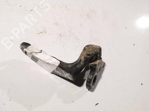 Hinge/Door check strap FORD FOCUS C-MAX (DM2) 2.0 TDCi | BP32580258C146 