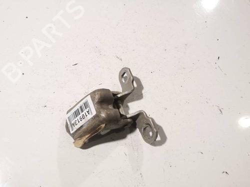 hingedoor-check-strap-renault-scenic-ii-jm01_-2003-2004-2005-2006-2007-2008-2009-2010-33837767 main image